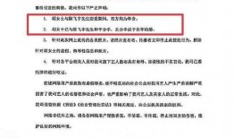 陈飞爆料视频最新版本,事件真相再引热议